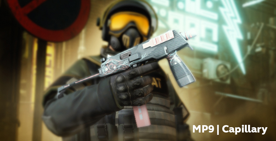 5. MP9 | 毛细血管