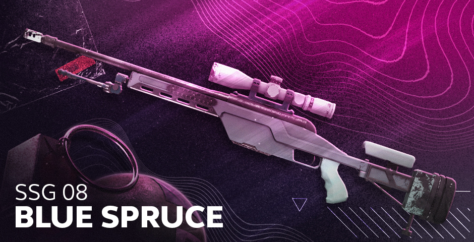 SSG 08 | 蓝色云杉