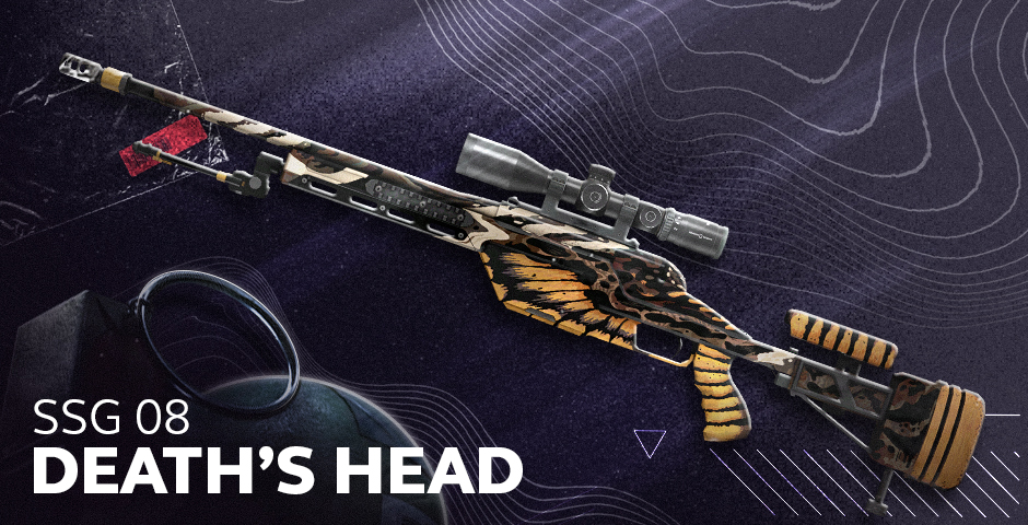 SSG 08 | 鬼脸天蛾