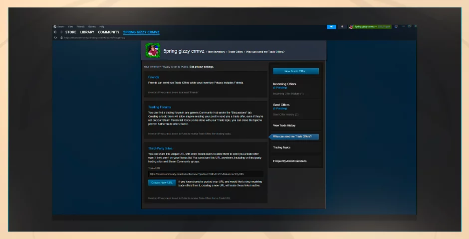 What-Is-a-Steam-Trade-URL.png