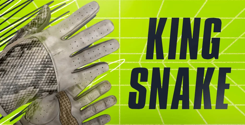 驾驶手套 | 王蛇